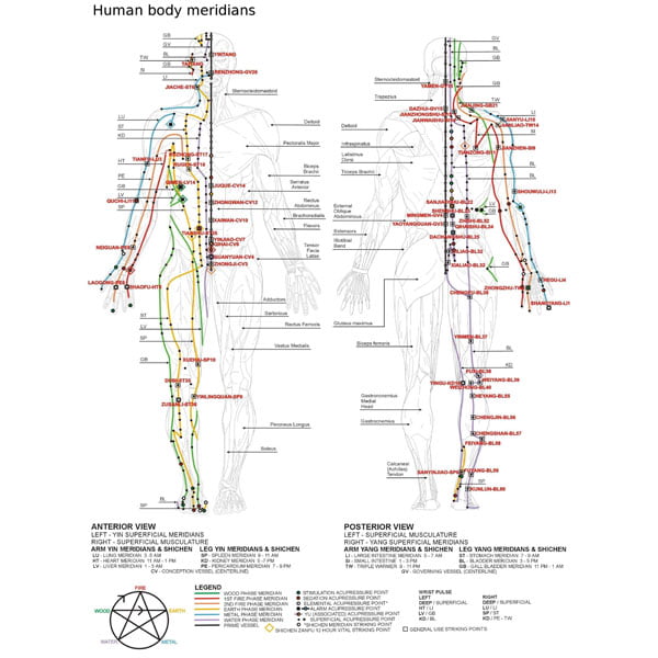shiatsu meridiani